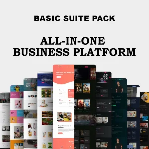 All-in-One Business (Basic Suite Plan)